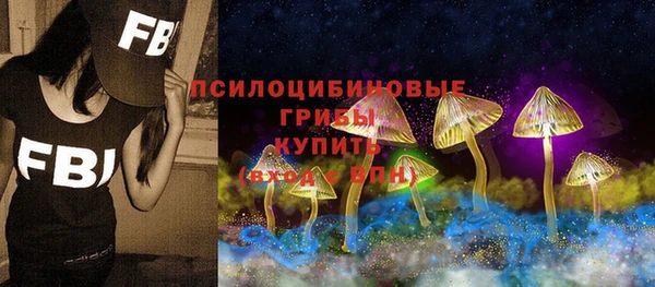 амф Абдулино