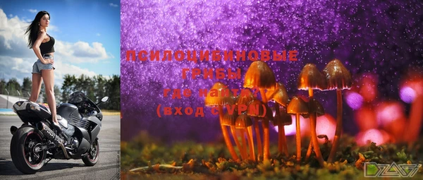 ECSTASY Абинск